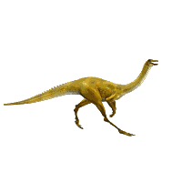 Gallimimussaurus